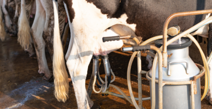 Comment utiliser un réchauffe-lait ? 